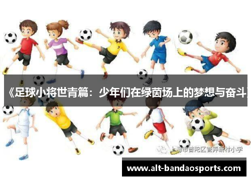 《足球小将世青篇：少年们在绿茵场上的梦想与奋斗》